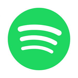 FLASHTUNE's Spotify